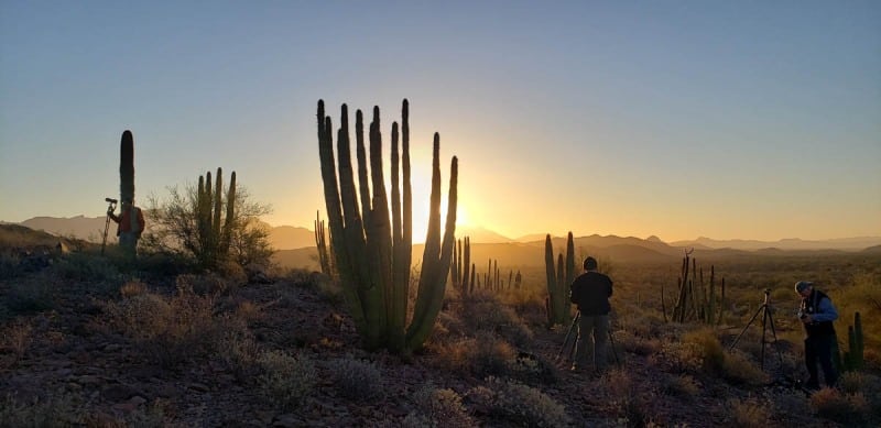 Organ Pipe National Monument, Arizona