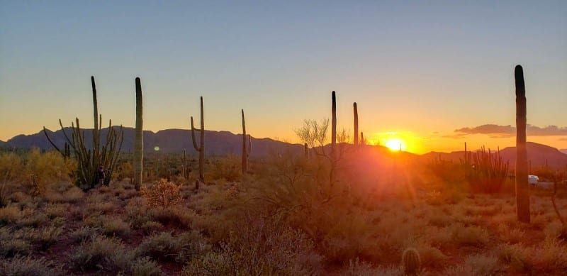 Organ Pipe National Monument, Arizona