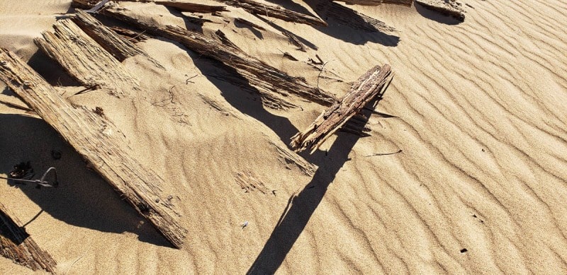 Buttermilk Dunes, old plank road, California