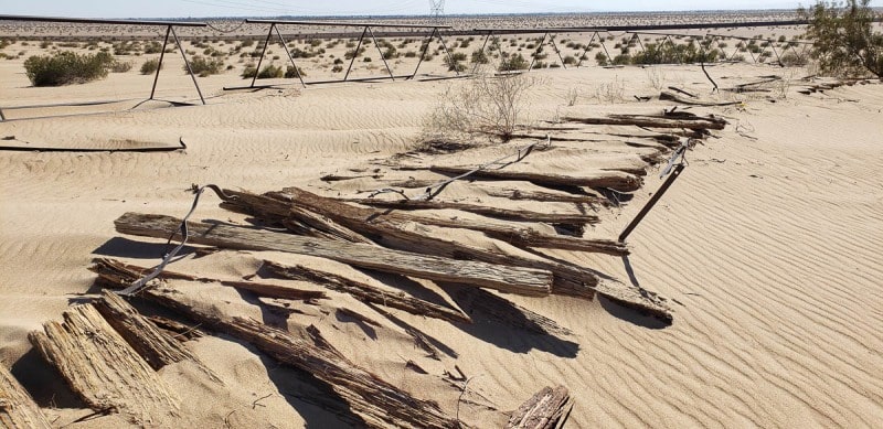Buttermilk Dunes, old plank road, California