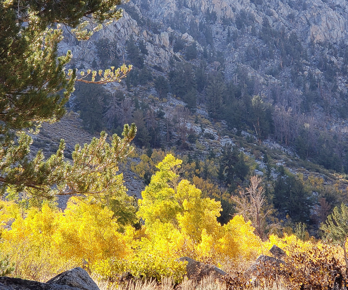 Eastern Sierra – Oct 2019 – CA