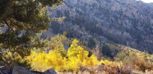 Eastern Sierra – Oct 2019 – CA