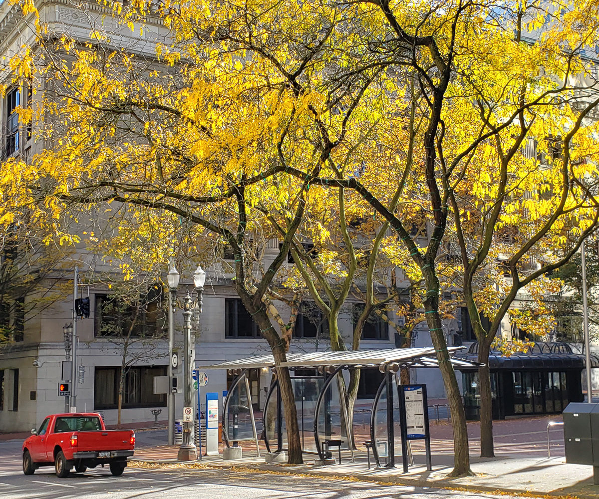 Portland OR – Oct 2019