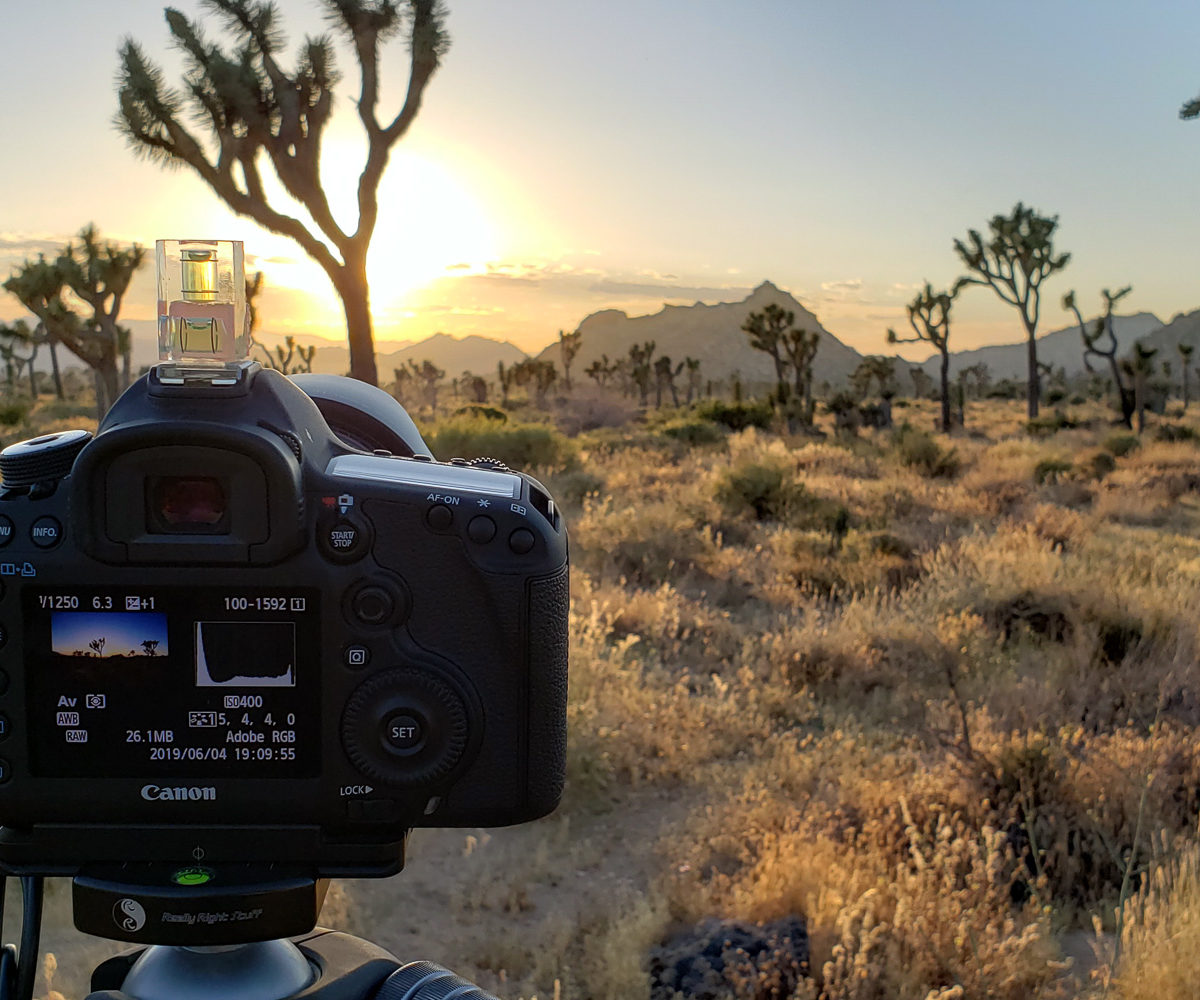 Joshua Tree National Park – June 2019