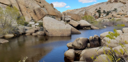 Joshua Tree National Park Infrared Photo Workshop – Mar 2020