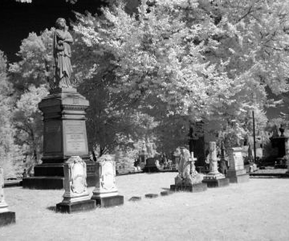 Sacramento Historic City Cemetery, Sacramento CA, Dec 2000