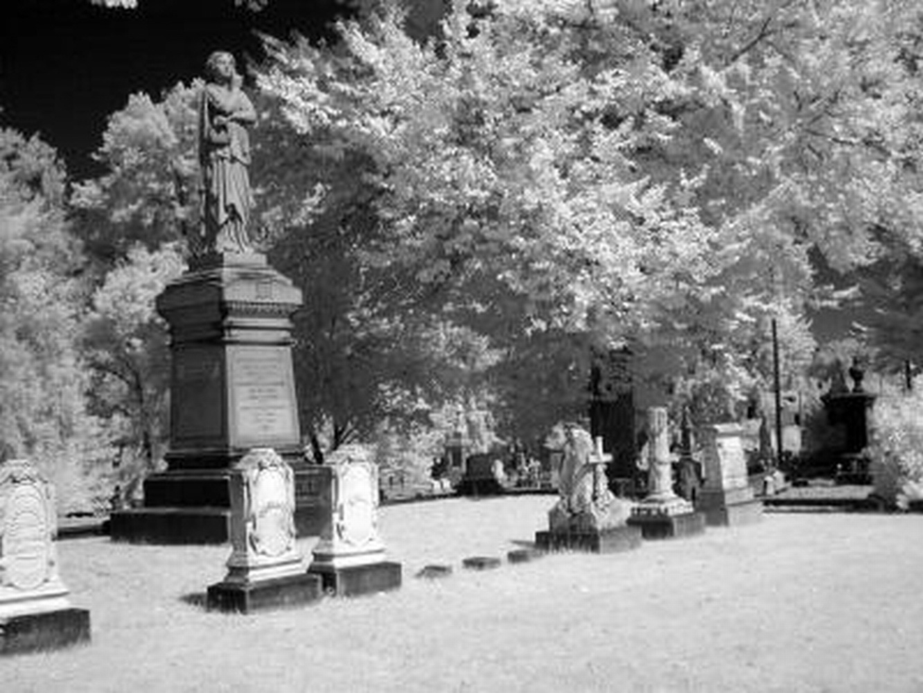 Sacramento Historic City Cemetery, Sacramento CA, Dec 2000