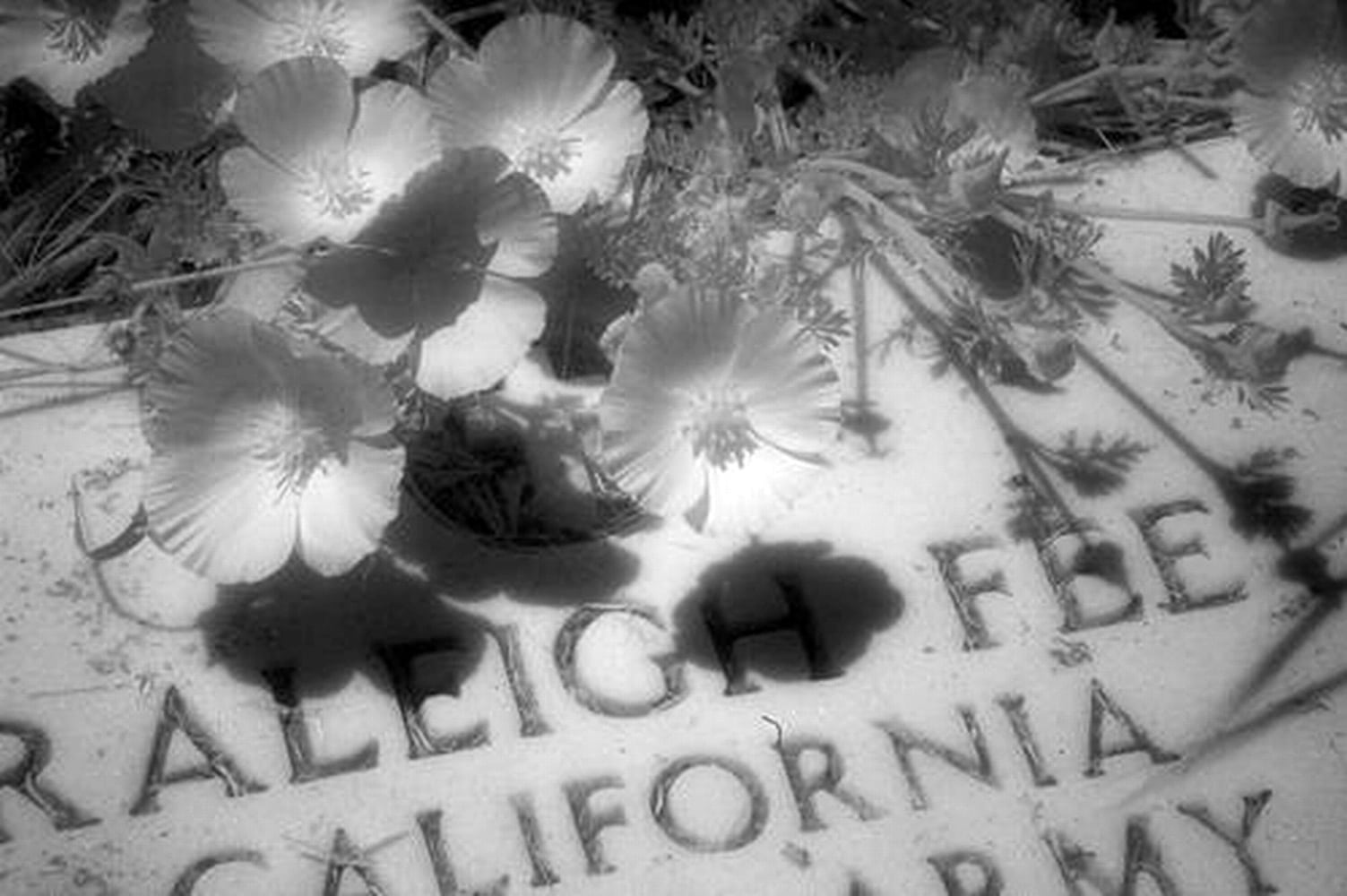 Westport Cemetery, Westport CA, May 2007